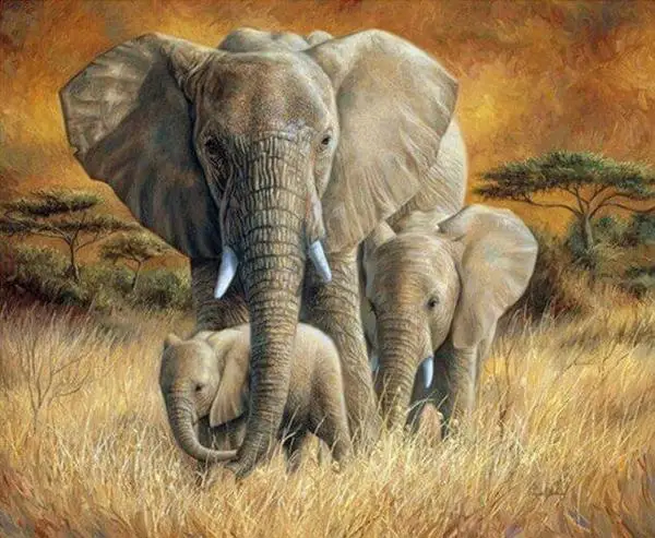

DIY Diamond Painting Elephant Full Square Diamond Mosaic Animal Painting Handmade Gift Home Decor