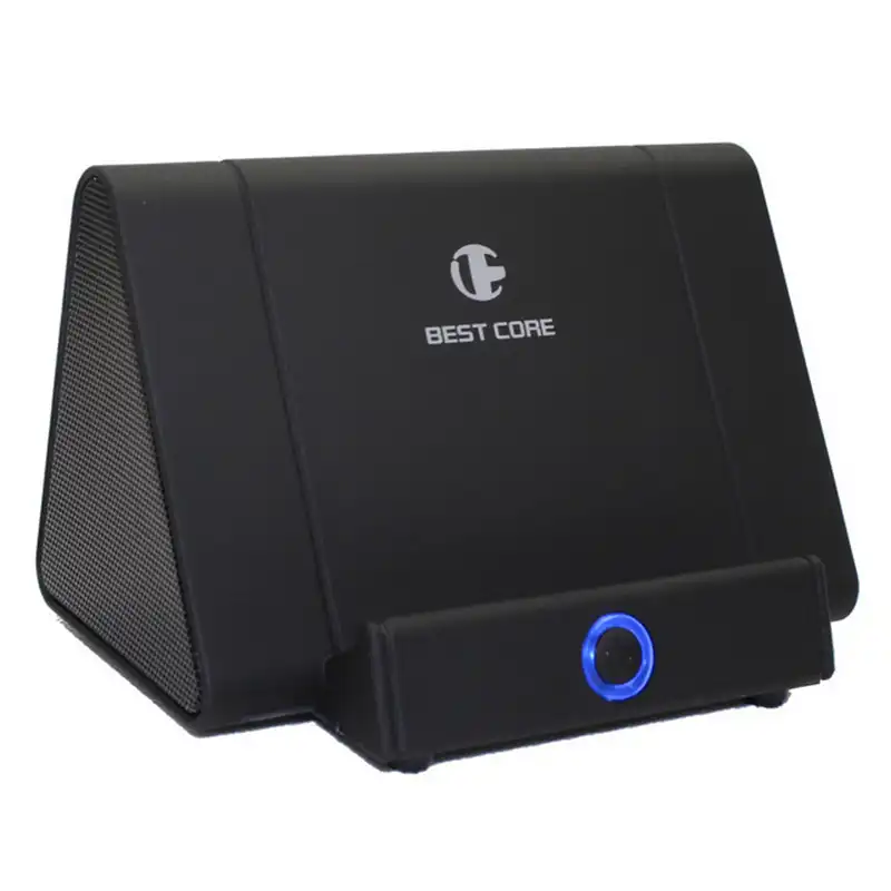 stereo induction speaker