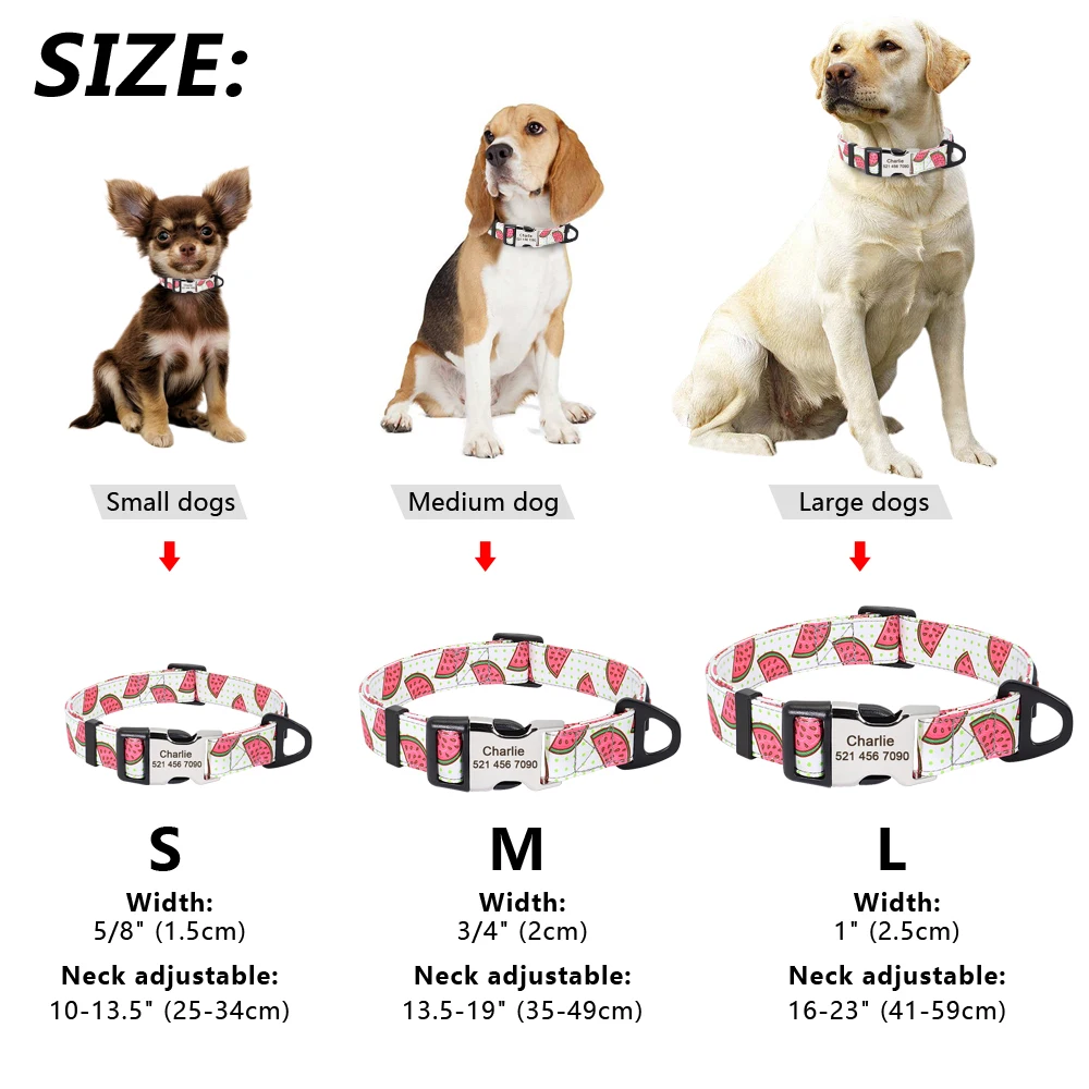 Personalized Printed Pet Collar