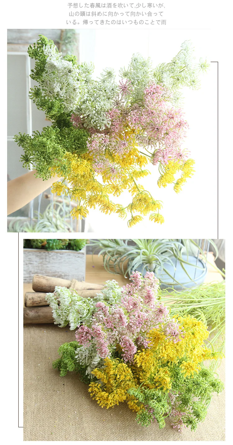 9033359204_1245478559