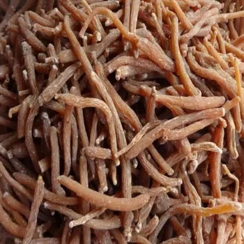 

Little Red Ginseng China herbal Red Ginseng Stew soup Bubble wine soak water tonic Enhance physical fitness resist fatigue