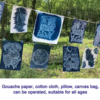 

Cyanotype Set Potassium Ferricyanide Cyanotype Printing DIY Kit HYD88