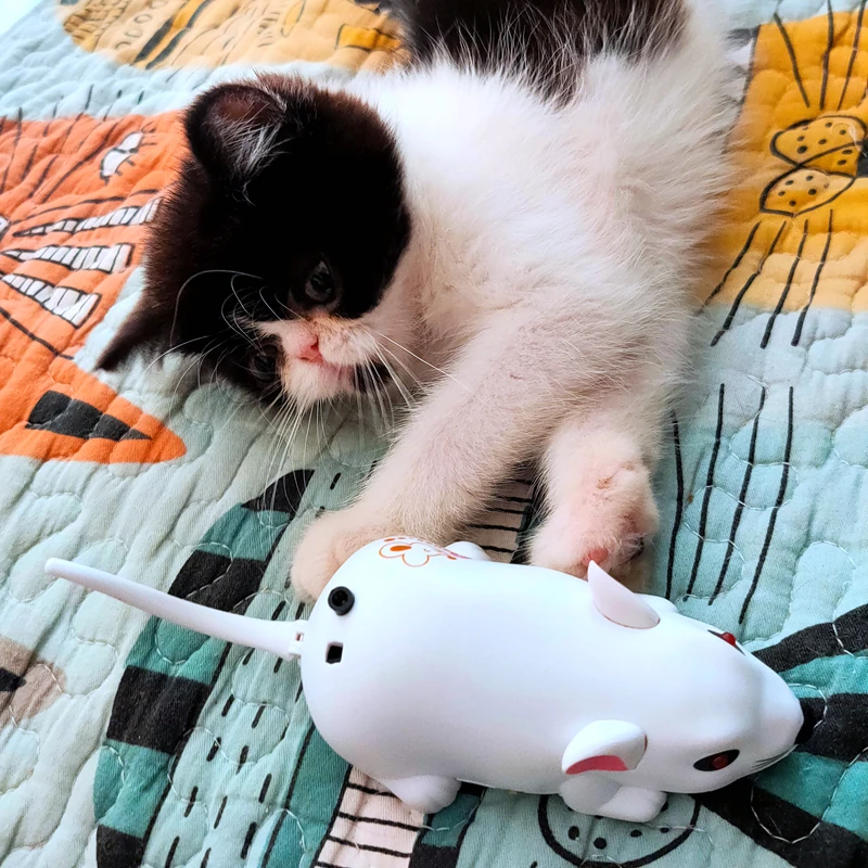 Игрушка для кошек с аккумулятором USB игрушка датчиком над хвостом чувствительная