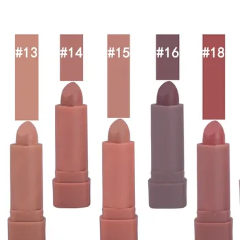

2020 Nonstick Cup Long Lasting Matte Lipstick Waterproof Moisturizing Velvet Women Fashion Nude Lip Tint Mate Makeup Kit TSLM2