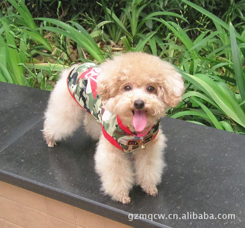 Одежда для собак Majestic Pet Item Одежда для питомцев Весна и лето золотой ретривер Одежда для больших собак лето