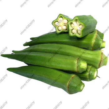 

Okra 100