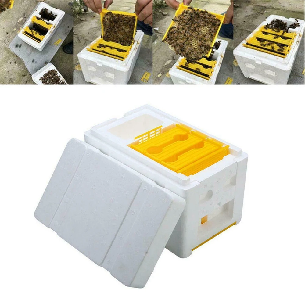 Harvest Bee Hive Beekeeping King Box Home Garden Hive Box Pollination Beekeeping Tool 24x15x16.5cm