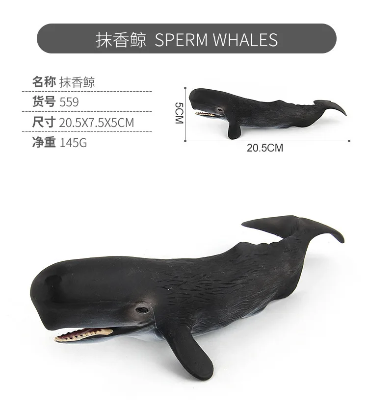 9940289064_1750629642