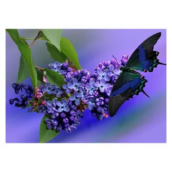 

5D Diamond Painting Kits for Adult Full Drill Paint with Diamonds for Home Wall Decor 12x16inch，Butterfly