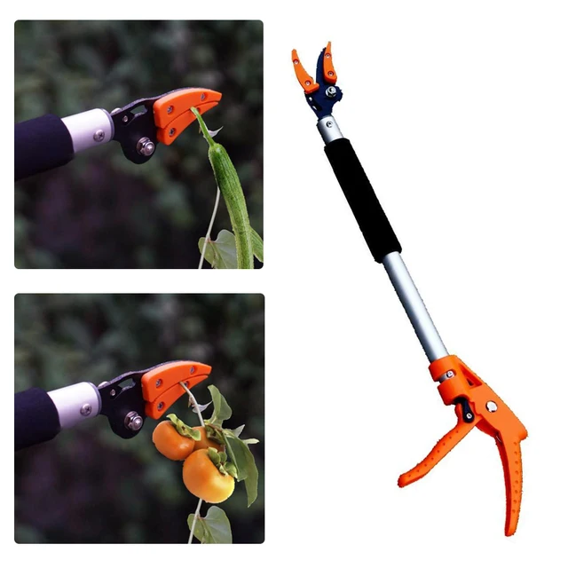 Hosszú Fogantyúk A Puner Garden Fruiter Home Long Reach Fa Kezelt Secateurs Max Cutting -Készlet 0,6 M - Image 3