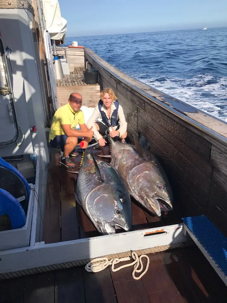 Ue2011fb1881e470ab92d3231969c5c6dK