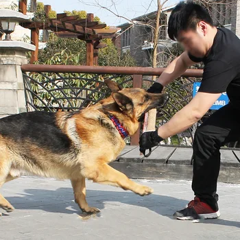 

Interactive Training Tugging Puppy Tooth Bite Resistant Toy Pet Chew Bite tool Outdoor Throwing Strong Handle Stick accessories