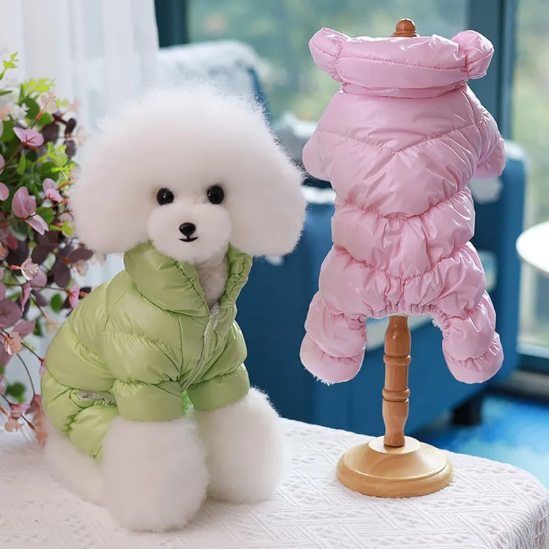 Small Pets Store