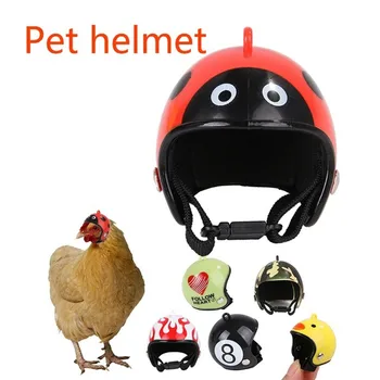 

Chicken Helmet Small Pet Hard Hat Bird Duck Quail Hat Headgear Pet Chicken Helmet Bird Parrot Head Helmet Pet Supplies