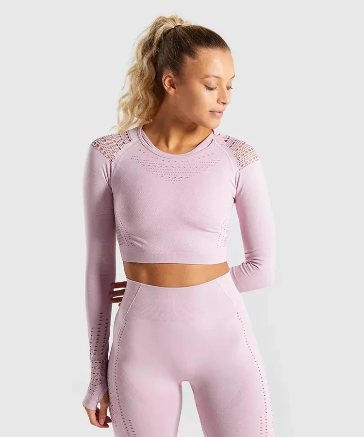 Женский комплект из двух частей для фитнеса, топы с длинными рукавами+ леггинсы, спортивный костюм с высокой талией для тренировок, Feamle - Цвет: Pink