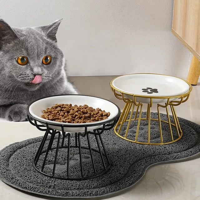 Ceramic Pet Bowl Cat Food Feeding Double Dish Stainless Steel Raised Stand Kitten Feeder Bowl