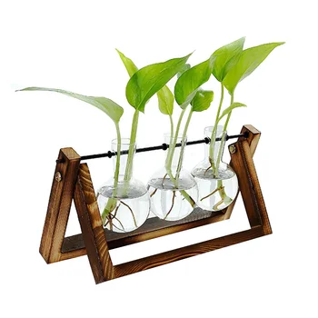 

Hydroponic Glass Planter Bulb Vase with Wooden Stand Tray Tabletop Desk Decor Water Planting Propagation Home Decoration BJStore