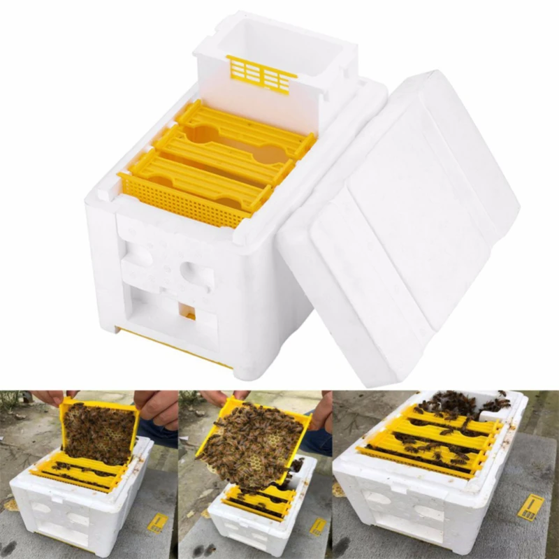 Harvest Bee 24 X 14.8 X 16.5cm EPS Beekeeping King Box Pollination Box For Home