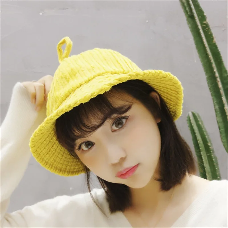 

Autumn winter female version personality small fresh basin hat antenna corduroy warm student fisherman hat