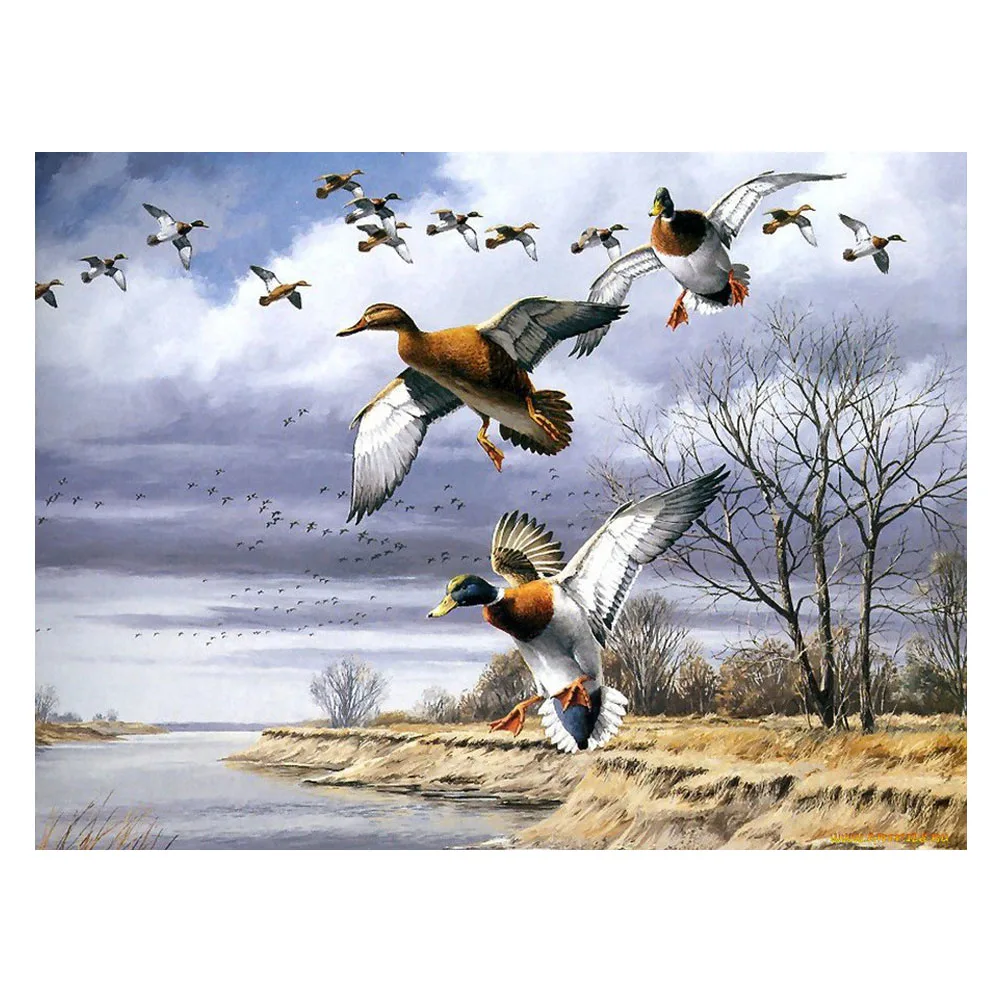 HTB1D7gMAOCYBuNkHFCcq6AHtVXaU