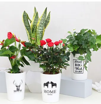 

Newest Plant Pot Cover Indoor Plastic Rattan Flower Cover Round Modern Decor Planter Pot