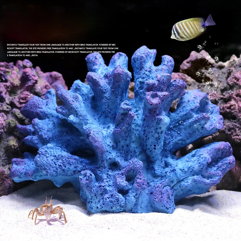 10246316097_917857823