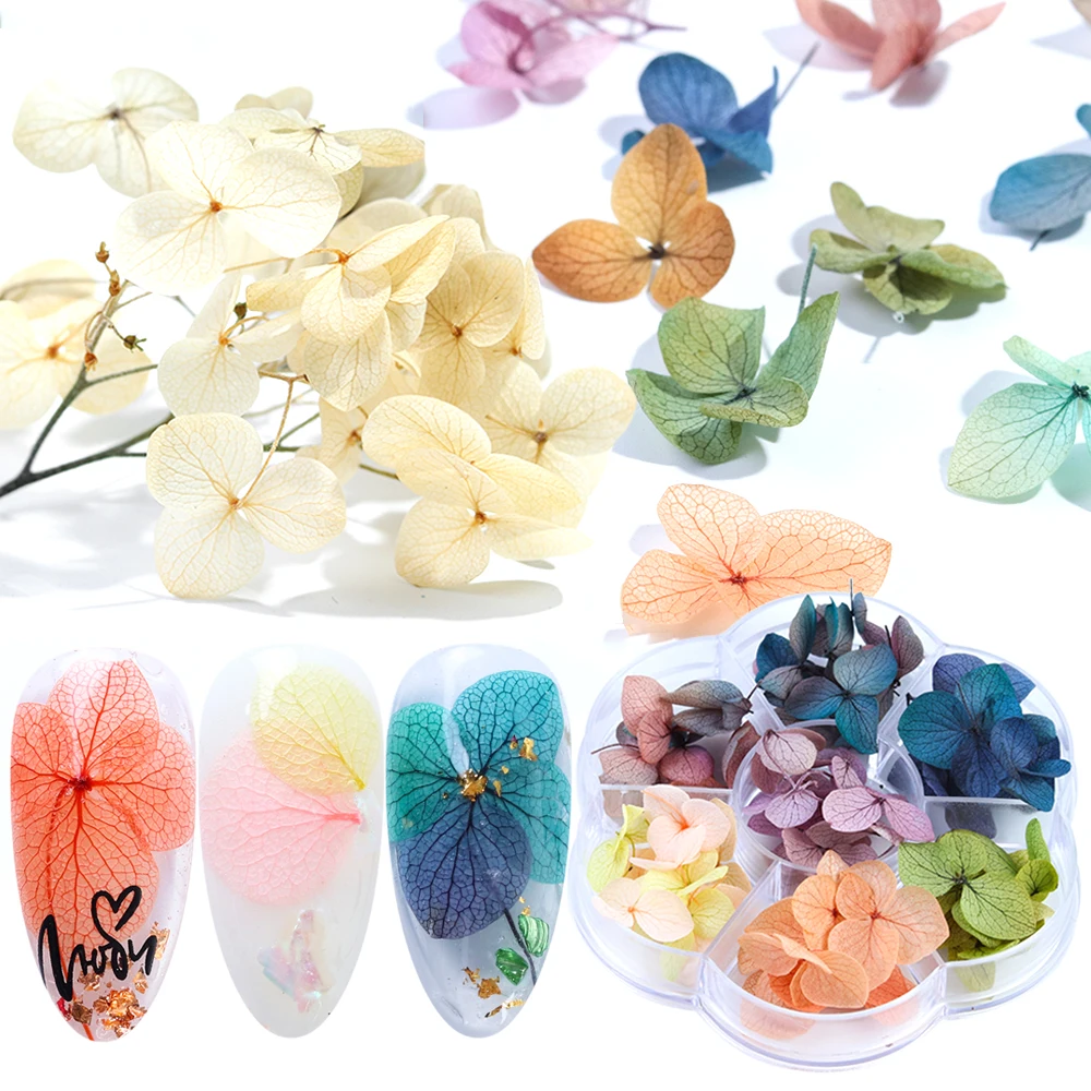50pcs Dried Flowers Leaf Nail Art Decoration Gradient Natural Floral