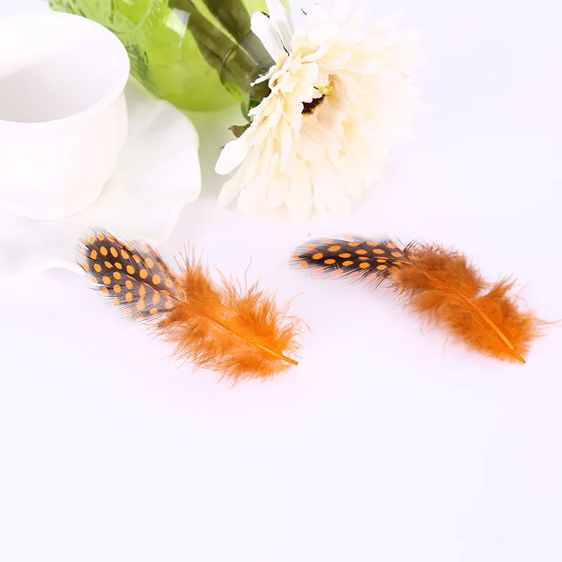 3195530032_1022353483