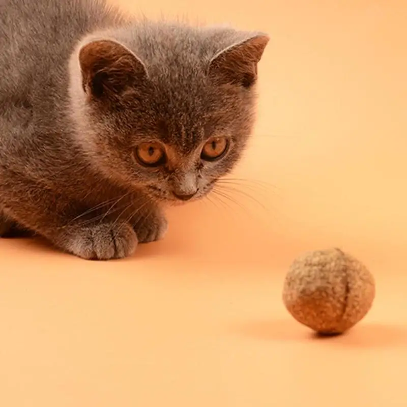 3 шт. игрушка для кошек шарик из натуральной кошачьей мяты угощения для кошек с ментоловым ароматом мяч игрушки