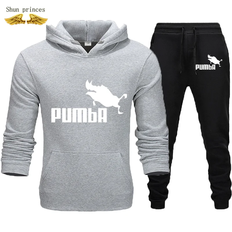 Shun princes Store, толстовки, спортивные костюмы для мужчин, осень/зима, толстовки+ штаны, костюм, Весенняя толстовка, спортивная одежда, набор, мужская толстовка с капюшоном - Цвет: huihei