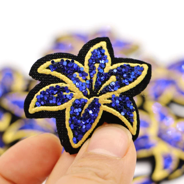 10PCS