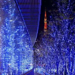 Синий Водонепроницаемый наружный дом 10 м 30 м 50 м 100 м светодиодный Сказочный светильник s для рождественской вечеринки, свадьбы, праздника