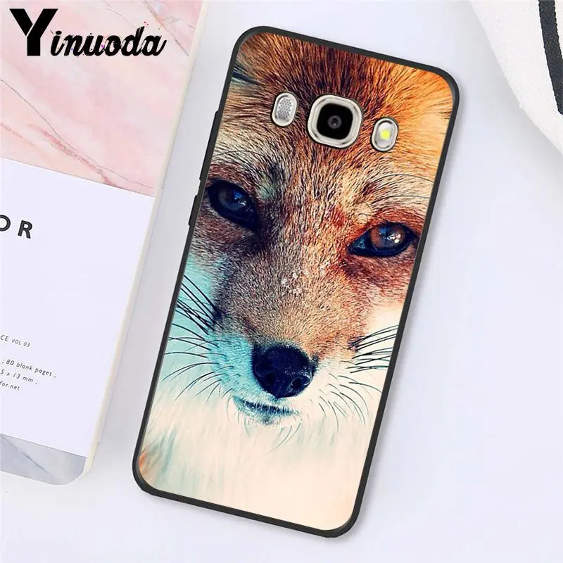 Fox Animal