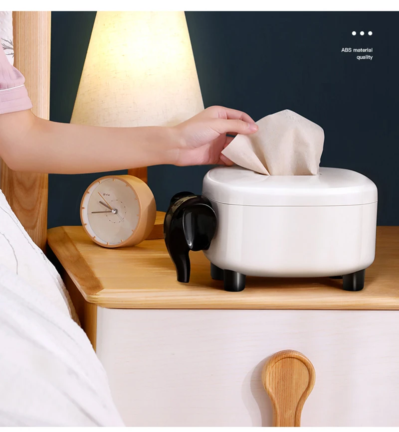 tissue box10
