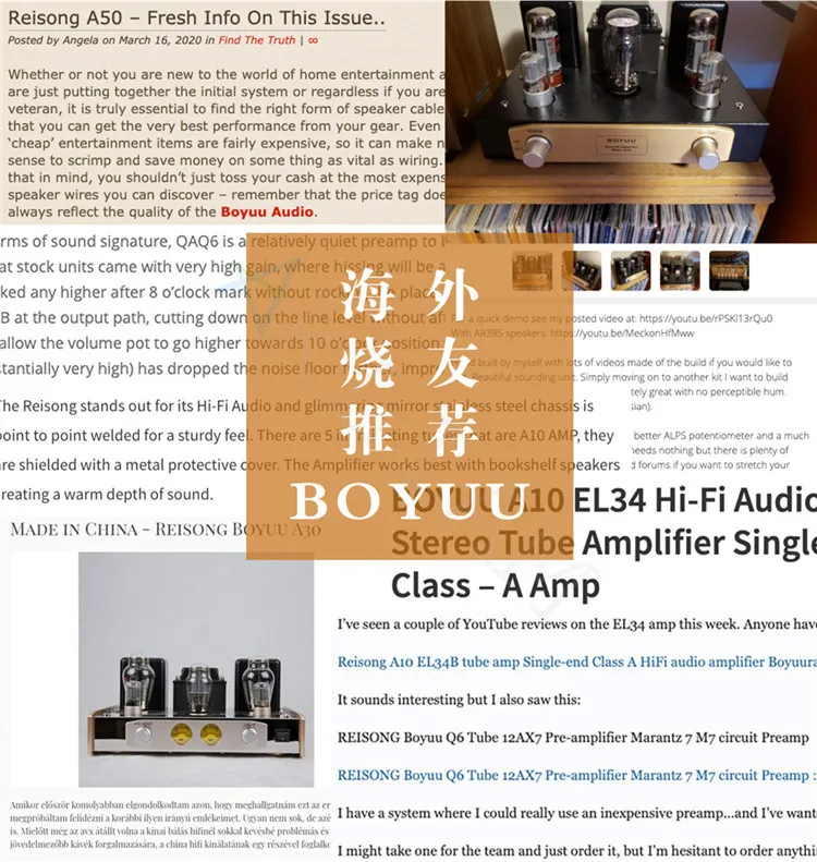 Reisong Boyuu A10 Tube Amplifier EL34 Lamp AMP 2*12W Pure Class A HIFI Tube Audio Preamplifier