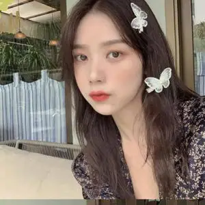 

Butterfly Hairpin Hair Accessories Korean Headdress Girl Side Clip Retro Embroidery Bangs Hair Clip Girls Gift