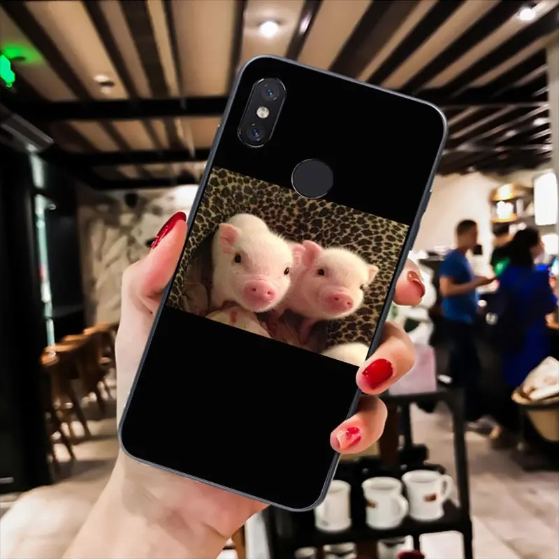 Cute Little Pink Pet Pig