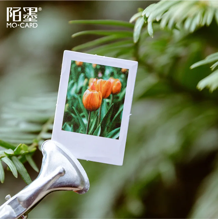 46 штук упак. тюльпан сезон пуля журнал декоративные наклейки из бумаги васи