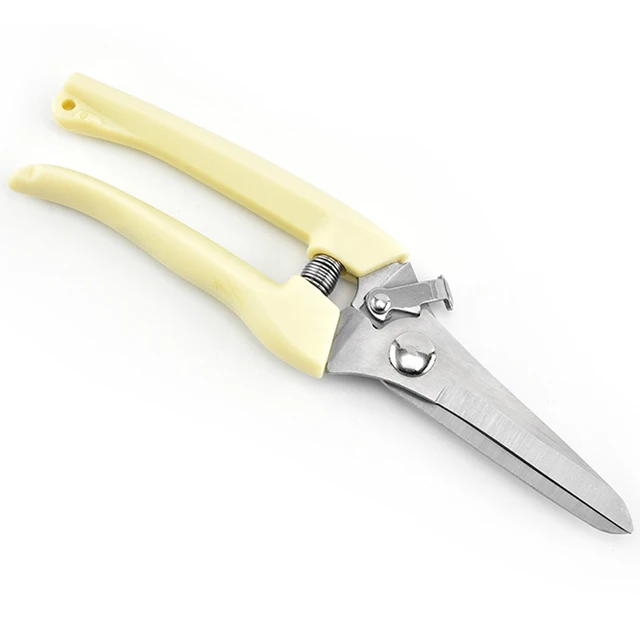 Straight knife