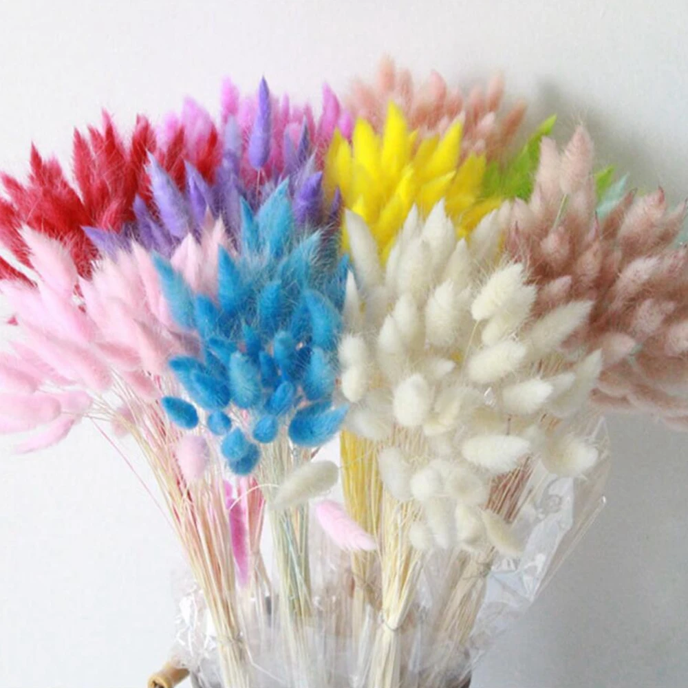 30pcNatural Dried Flowers Bouquet DIY Wedding Home Decoration Rabbit Tail Grass Real Flowers