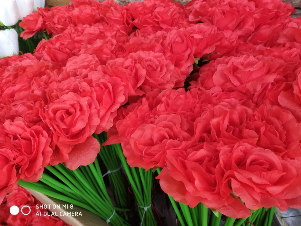 11340841530_1050550115