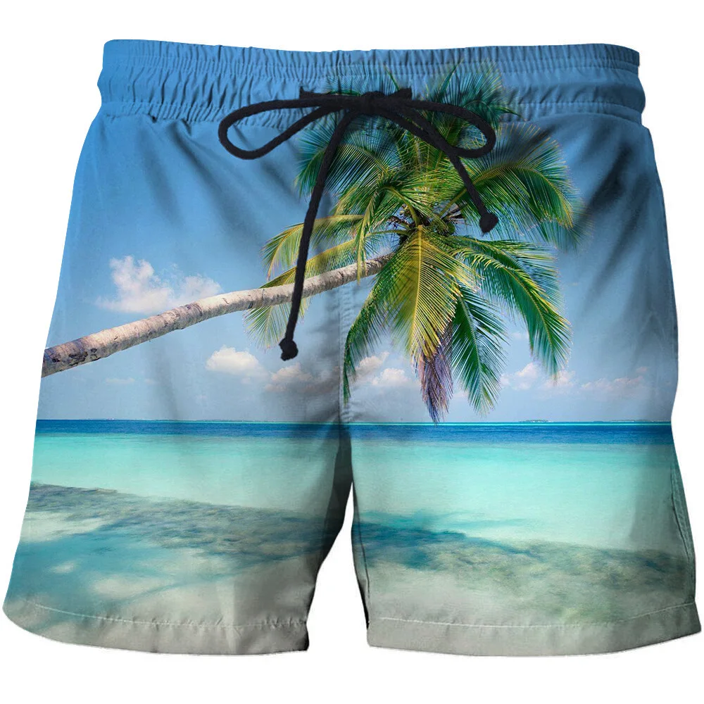 New Casual 3D Board Shorts Men Sea Beach Printed Beach Shorts For Male Summer Sport Surfing Swiming Shorts Drop Ship