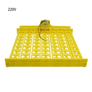

Multifunction 56 Plastic Egg Tray Automatic Turn Egg With 220V Motor For Mini Brooder Incubator Spare Parts Accessory