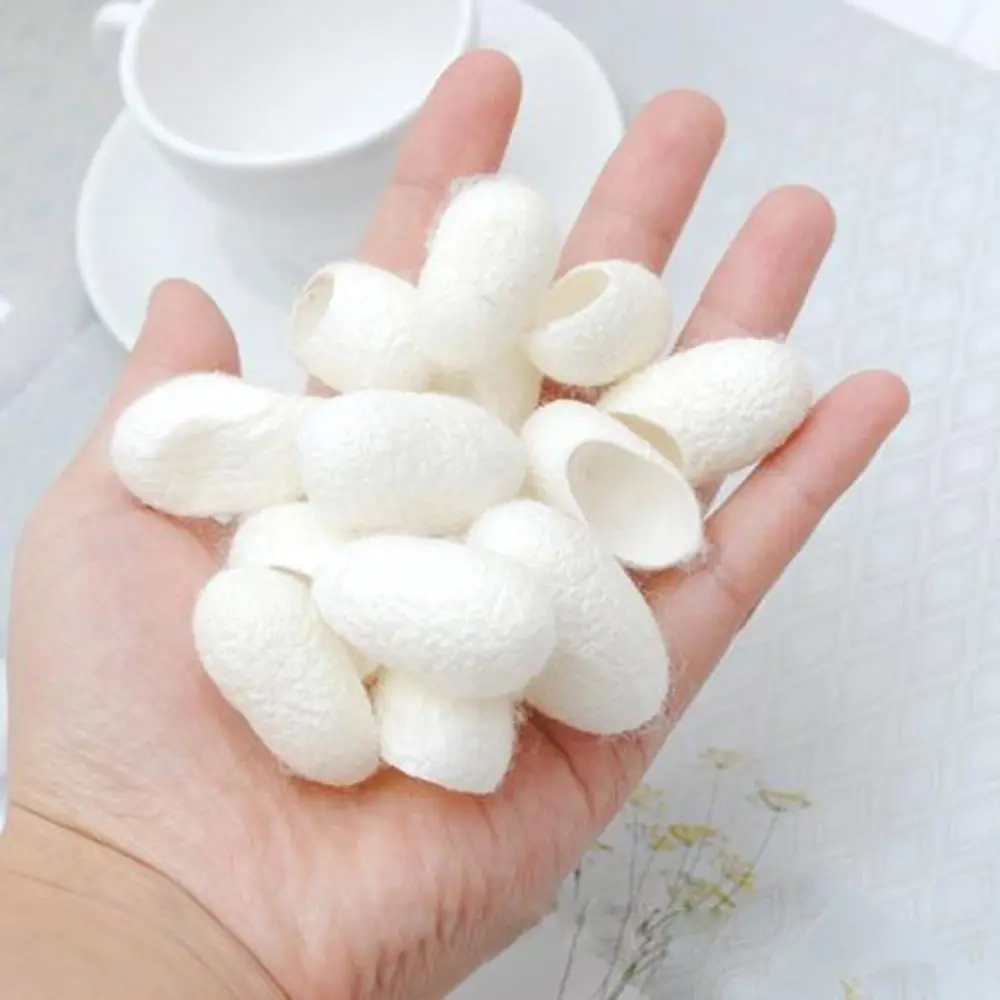 10pcs Fresh Natural Silk Ball Cocoons Facial Cleanser Balls Remove Whitening Care Self Products Women Beauty |