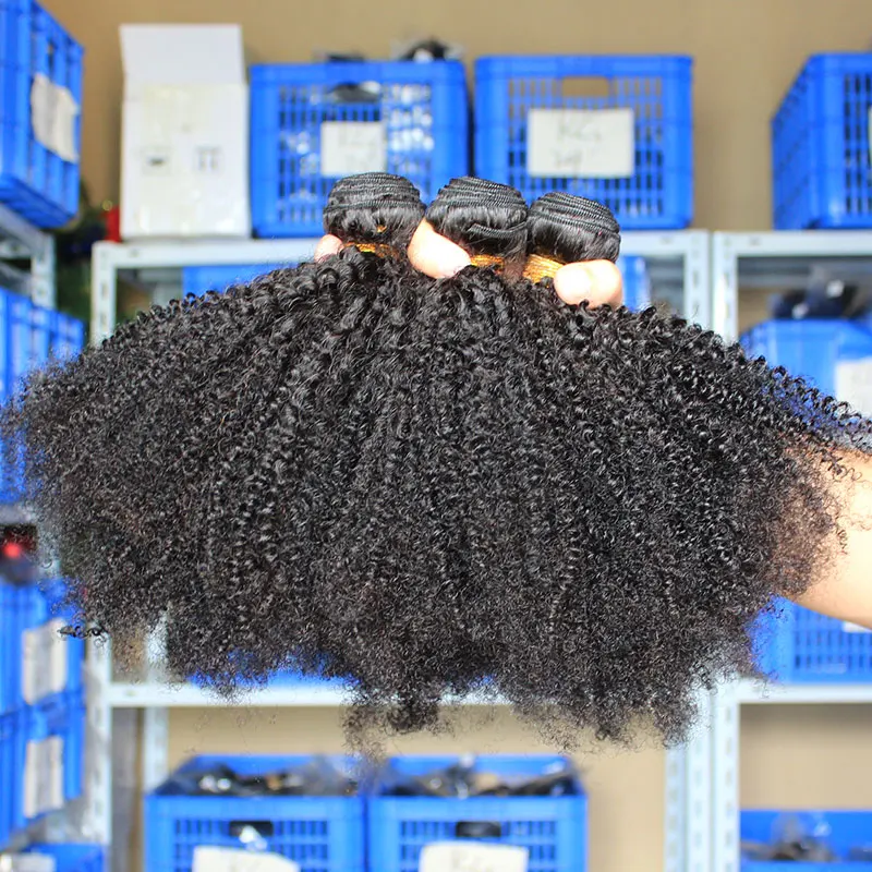 Mongolian Afro Kinky Curly Bundles 4B 4C Human Hair Extensions Virgin Human Hair Bundles With Closure Weave Bulk Ever Beauty