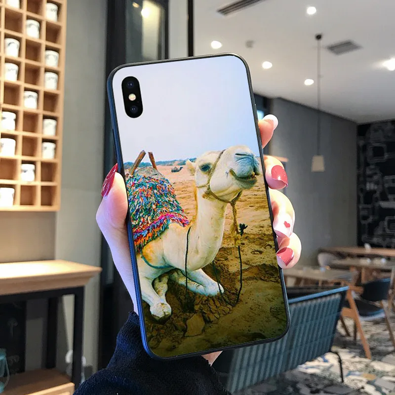 Hewan Unta Lucu Berwarna-warni untuk iPhone 8 7 6 6S Plus X XS MAX 5 5S SE XR 11 11pro Promax Ponsel