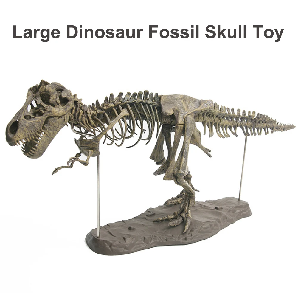 4D-Animal-Model-Toys-Simulation-Large-Dinosaur-Fossil-Tyrannosaurus-Assemble-the-skeleton-model-Toys-Home-Decoration