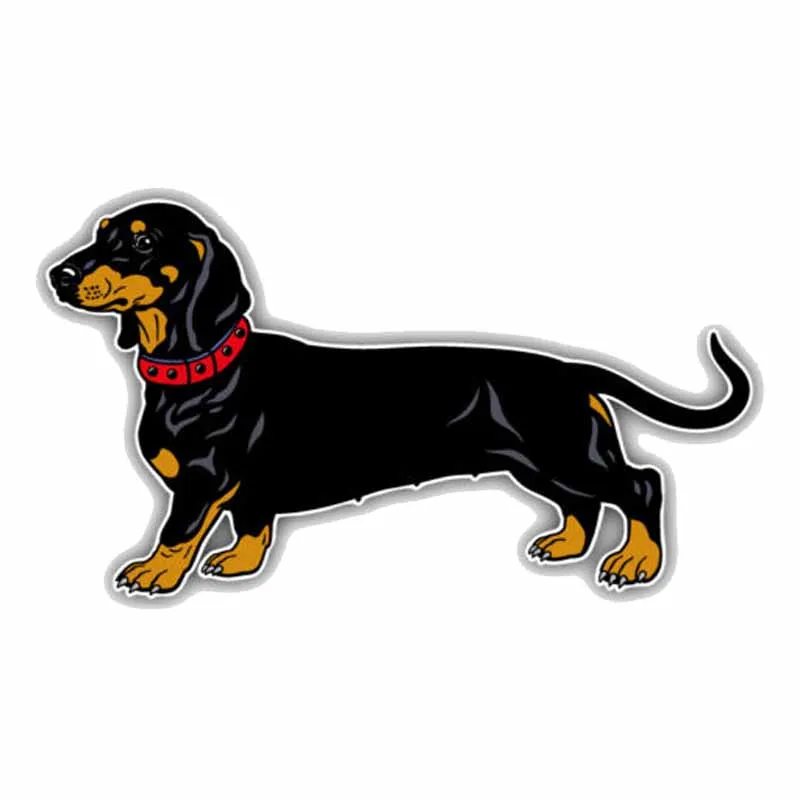 

Personality Cartoon Lovely Smooth Haired Dachshund Car Sticker Motorcycle Superior Quality Vinyl Decals Waterproof PVC