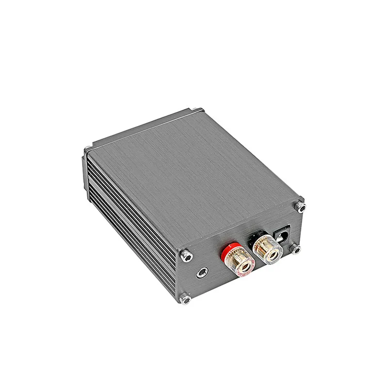 SOTAMIA 100W TPA3116D2 Power Mono Amplifier Board Hifi Subwoofer Amplifier Board Digital Mini Amp DIY Smart Home Amplificador