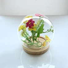 Шарообразная стеклянная крышка DIY завод сухой цветок дисплей Террариум микрошафт Фея Сад контейнер Декор
